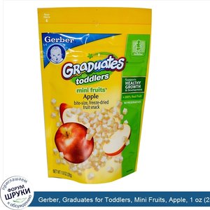 Gerber__Graduates_for_Toddlers__Mini_Fruits__Apple__1_oz__28_g_.jpg