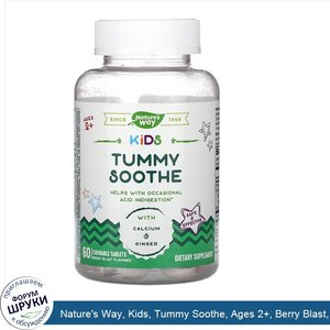 Nature_s_Way__Kids__Tummy_Soothe__Ages_2___Berry_Blast__60_Chewable_Tablets.jpg