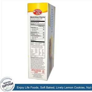 Enjoy_Life_Foods__Soft_Baked__Lively_Lemon_Cookies__Nut_Gluten_Free__6_oz__170_g_.jpg