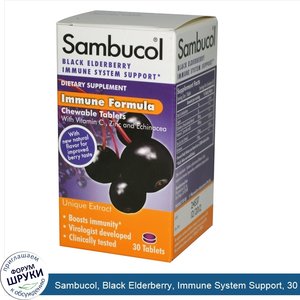 Sambucol__Black_Elderberry__Immune_System_Support__30_Chewable_Tablets.jpg