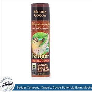 Badger_Company__Organic__Cocoa_Butter_Lip_Balm__Mocha_Cocoa__.25_oz__7_g_.jpg