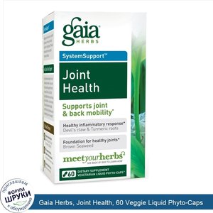 Gaia_Herbs__Joint_Health__60_Veggie_Liquid_Phyto_Caps.jpg