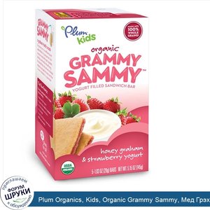 Plum_Organics__Kids__Organic_Grammy_Sammy__Мед_Грэхам_клубничный_йогурт_5_батончиков__1.03_унц...jpg