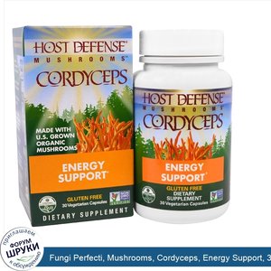 Fungi_Perfecti__Mushrooms__Cordyceps__Energy_Support__30_Vegetarian_Capsules.jpg