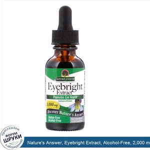 Nature_s_Answer__Eyebright_Extract__Alcohol_Free__2_000_mg__1_fl_oz__30_ml_.jpg