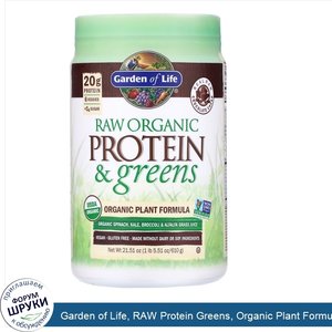 Garden_of_Life__RAW_Protein_Greens__Organic_Plant_Formula__Chocolate_Cacao__21.51_oz__610_g_.jpg