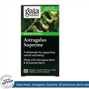 Gaia_Herbs__Astragalus_Supreme__60_веганских_фито_капсул_с_жидкостью.jpg