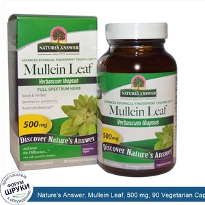 Nature_s_Answer__Mullein_Leaf__500_mg__90_Vegetarian_Capsules.jpg