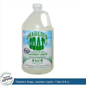 Charlie_s_Soap__Laundry_Liquid__1_Gal__3.8_L_.jpg