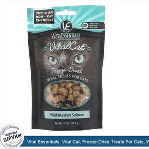 Vital_Essentials__Vital_Cat__Freeze_Dried_Treats_For_Cats__Wild_Alaskan_Salmon__1.1_oz__31.2_g_.jpg