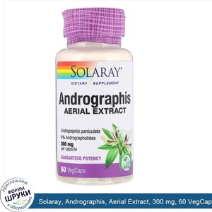 Solaray__Andrographis__Aerial_Extract__300_mg__60_VegCaps.jpg