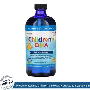 Nordic_Naturals__Children_s_DHA__клубника__для_детей_в_возрасте_от_1_года_до_6лет__530мг__473м...jpg