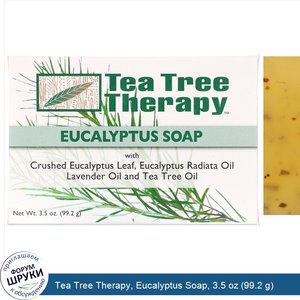 Tea_Tree_Therapy__Eucalyptus_Soap__3.5_oz__99.2_g_.jpg