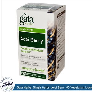 Gaia_Herbs__Single_Herbs__Acai_Berry__60_Vegetarian_Liquid_Phyto_Caps.jpg