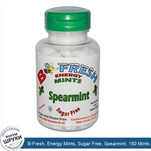 B_Fresh__Energy_Mints__Sugar_Free__Spearmint__150_Mints.jpg