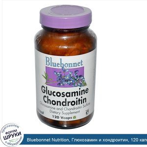 Bluebonnet_Nutrition__Глюкозамин_и_хондроитин__120_капсул_на_растительной_основе.jpg