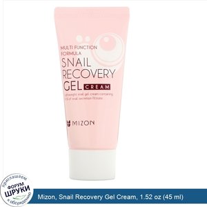 Mizon__Snail_Recovery_Gel_Cream__1.52_oz__45_ml_.jpg