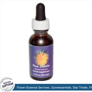 Flower_Essence_Services__Quintessentials__Star_Thistle__Flower_Essence__1_fl_oz__30_ml_.jpg