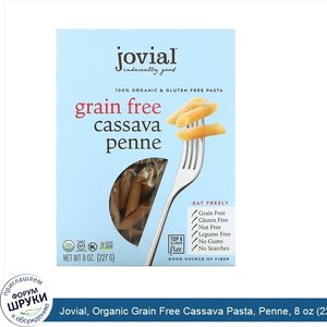 Jovial__Organic_Grain_Free_Cassava_Pasta__Penne__8_oz__227_g_.jpg