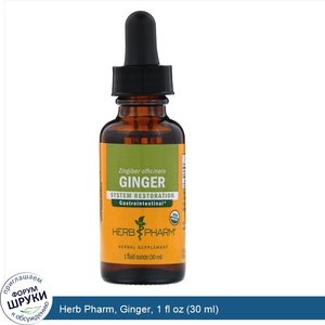 Herb_Pharm__Ginger__1_fl_oz__30_ml_.jpg