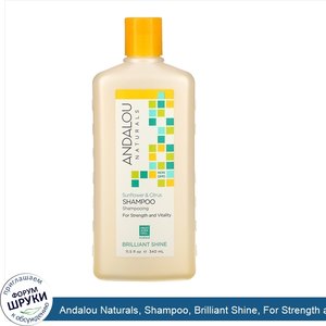 Andalou_Naturals__Shampoo__Brilliant_Shine__For_Strength_and_Vitality__Sunflower_Citrus__11.5_...jpg