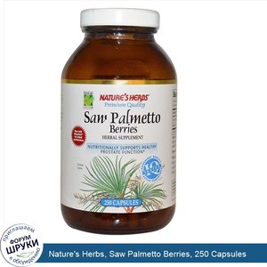 Nature_s_Herbs__Saw_Palmetto_Berries__250_Capsules.jpg