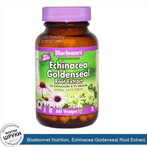 Bluebonnet_Nutrition__Echinacea_Goldenseal_Root_Extract__60_Vcaps.jpg