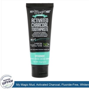 My_Magic_Mud__Activated_Charcoal__Fluoride_Free__Whitening_Toothpaste__Spearmint__4_oz__113_g_.jpg