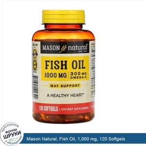 Mason_Natural__Fish_Oil__1_000_mg__120_Softgels.jpg