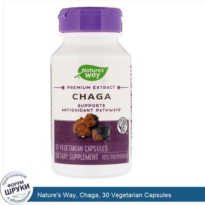 Nature_s_Way__Chaga__30_Vegetarian_Capsules.jpg