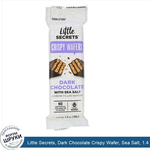 Little_Secrets__Dark_Chocolate_Crispy_Wafer__Sea_Salt__1.4_oz__40_g_.jpg