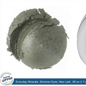 Everyday_Minerals__Shimmer_Eyes__New_Leaf__.06_oz__1.7_g_.jpg