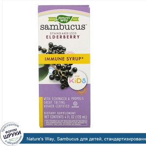 Nature_s_Way__Sambucus_для_детей__стандартизированный_экстракт_бузины__оригинальный_сироп__120...jpg