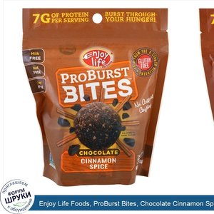 Enjoy_Life_Foods__ProBurst_Bites__Chocolate_Cinnamon_Spice__6.4_oz__180_g_.jpg