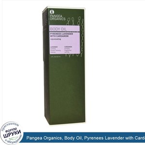 Pangea_Organics__Body_Oil__Pyrenees_Lavender_with_Cardamom__4_fl_oz__120_ml_.jpg