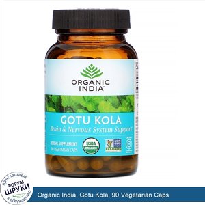 Organic_India__Gotu_Kola__90_Vegetarian_Caps.jpg