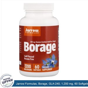 Jarrow_Formulas__Borage__GLA_240__1_200_mg__60_Softgels.jpg