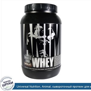 Universal_Nutrition__Animal__сывороточный_протеин_для_мышц__шоколад__2_фунта__907_г_.jpg