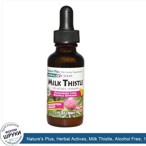 Nature_s_Plus__Herbal_Actives__Milk_Thistle__Alcohol_Free__125_mg__1_fl_oz__30_ml_.jpg