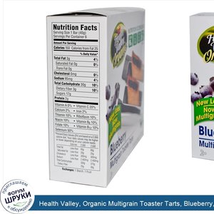 Health_Valley__Organic_Multigrain_Toaster_Tarts__Blueberry__6_Tarts__1.4_oz_Each.jpg