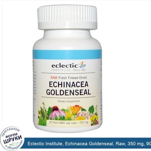 Eclectic_Institute__Echinacea_Goldenseal__Raw__350_mg__90_Non_GMO_Veggie_Caps.jpg