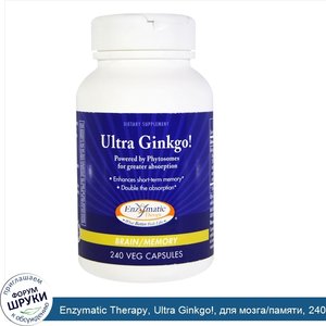 Enzymatic_Therapy__Ultra_Ginkgo___для_мозга_памяти__240_вегетарианских_капсул.jpg