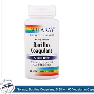 Solaray__Bacillus_Coagulans__5_Billion__60_Vegetarian_Capsules.jpg