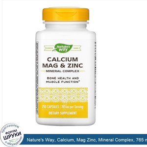 Nature_s_Way__Calcium__Mag_Zinc__Mineral_Complex__765_mg__250_Capsules.jpg