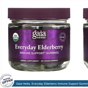 Gaia_Herbs__Everyday_Elderberry_Immune_Support_Gummies__80_Vegan_Gummies.jpg