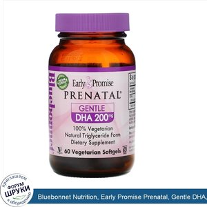 Bluebonnet_Nutrition__Early_Promise_Prenatal__Gentle_DHA__200_mg__60_Vegetarian_Softgels.jpg