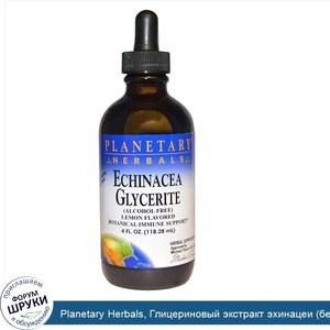 Planetary_Herbals__Глицериновый_экстракт_эхинацеи__без_спирта___с_лимонным_вкусом__4_жидких_ун...jpg