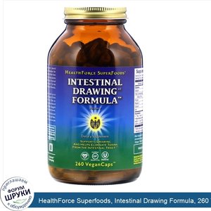 HealthForce_Superfoods__Intestinal_Drawing_Formula__260_Vegan_Caps.jpg