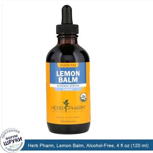 Herb_Pharm__Lemon_Balm__Alcohol_Free__4_fl_oz__120_ml_.jpg