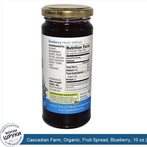 Cascadian_Farm__Organic__Fruit_Spread__Blueberry__10_oz__284_g_.jpg